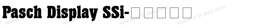 Pasch Display SSi字体转换